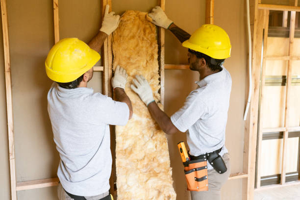 Best Insulation Air Sealing  in Birch Run, MI